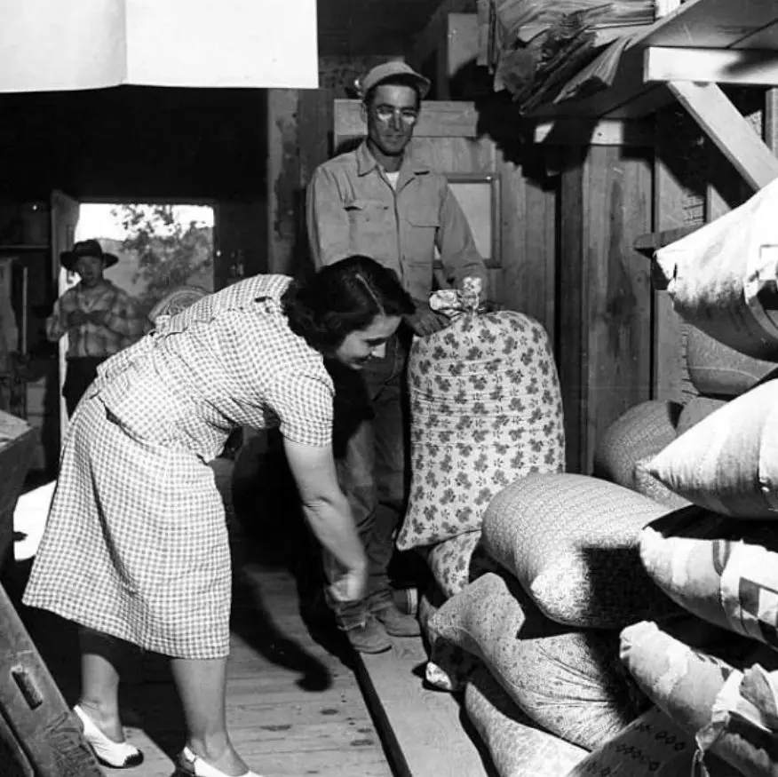 A woman selects printed cotton