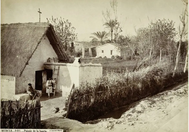 PAISAJE DE LA HUERTA