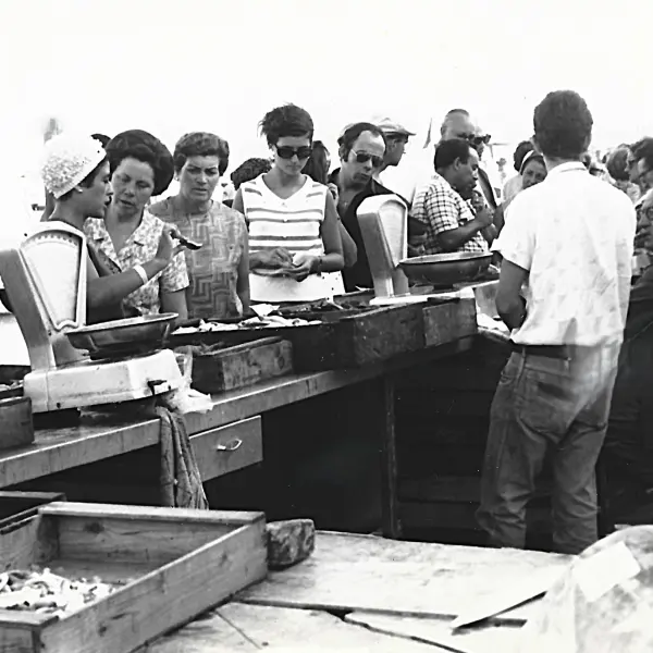 Venta de pescados