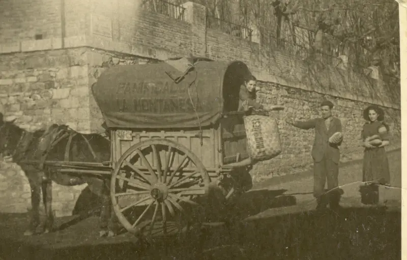 Panificadora la Montañesa.