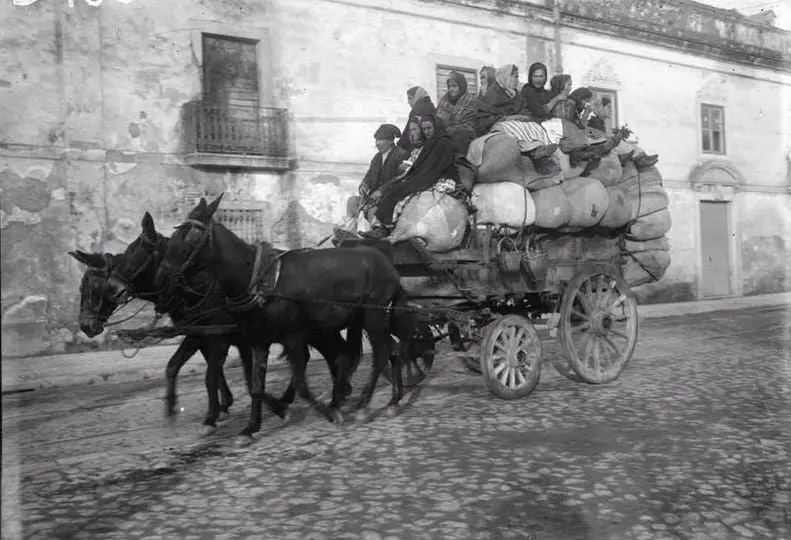 TRANSPORTE DE LAVADEIRAS SALOIAS 