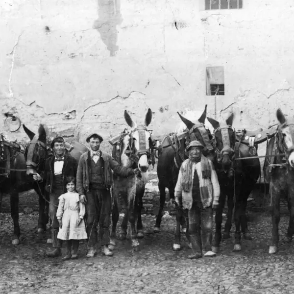 En el corral de la tía Juanita Gaviña