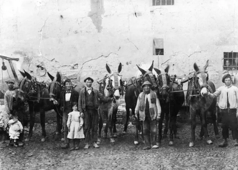 En el corral de la tía Juanita Gaviña