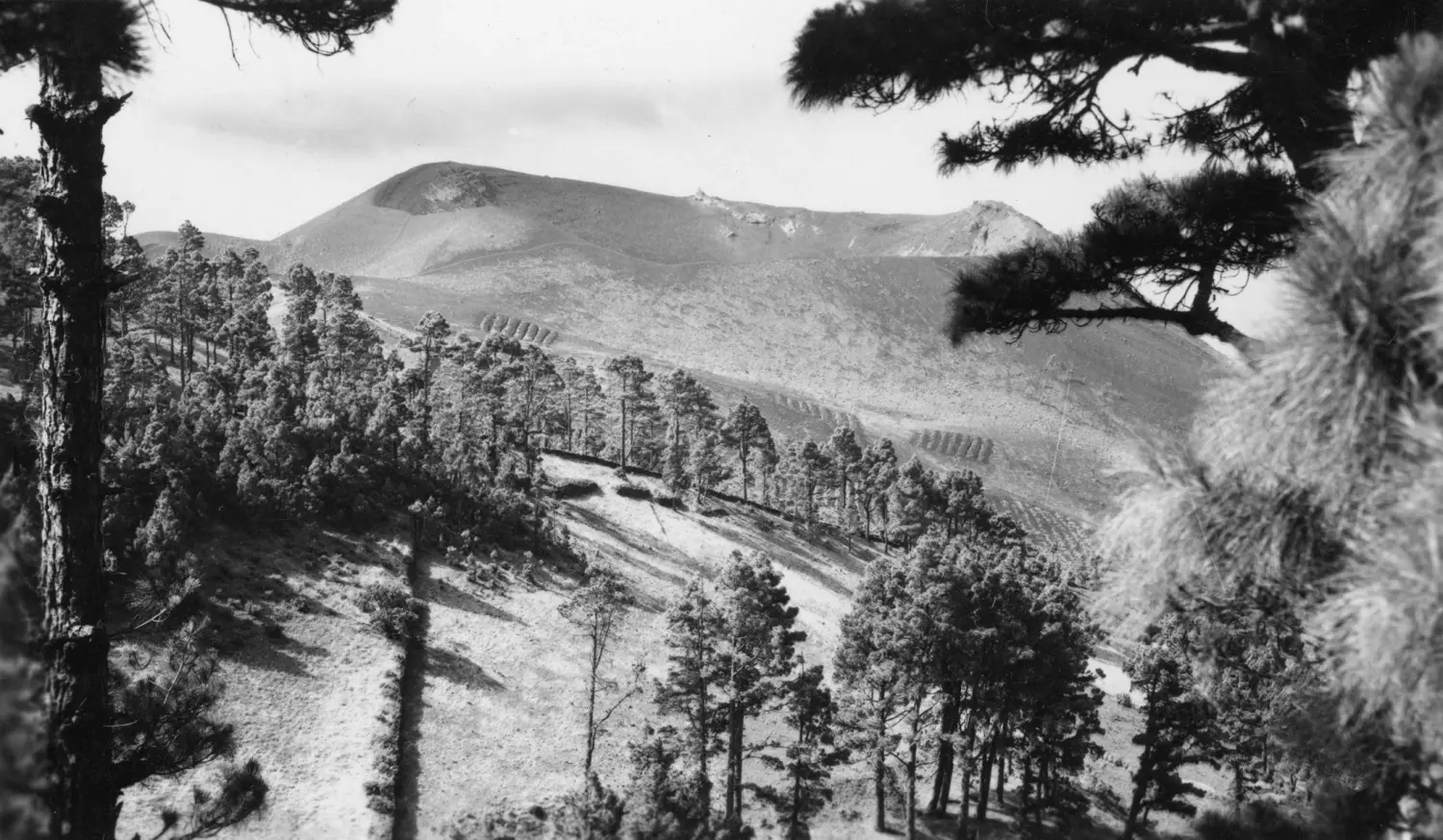 Volcán de San Antonio