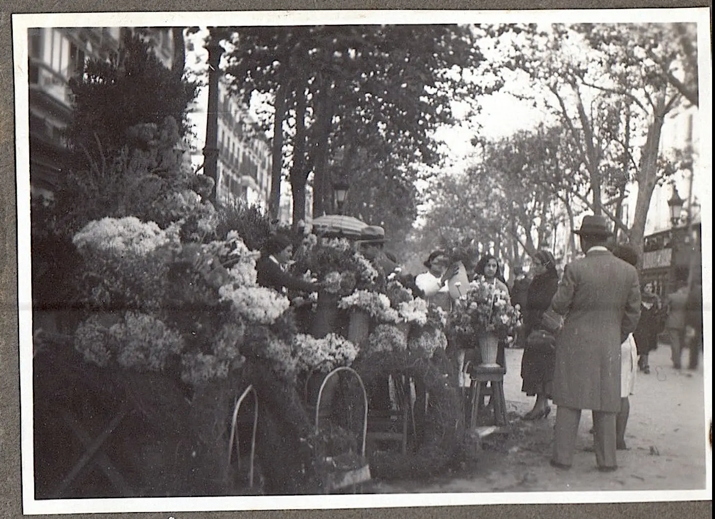 Rambla de les Flors