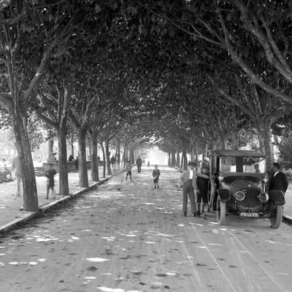 Calle Alameda Calle Alameda