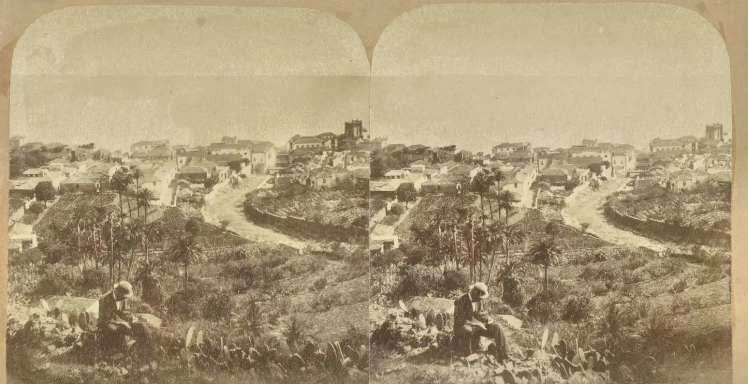 Santa Cruz de La Palma vista desde La Palmita