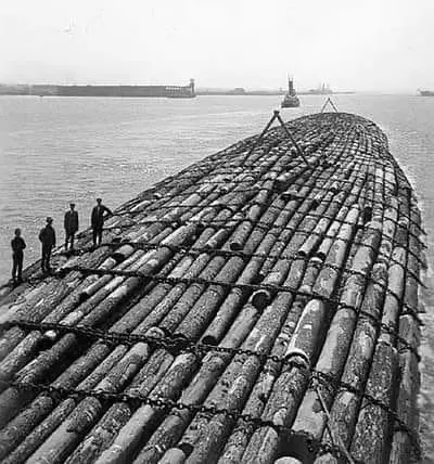 Floating raft of logs