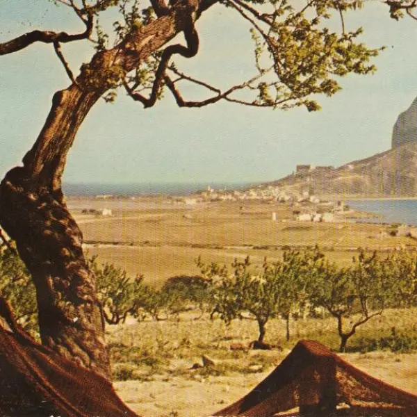 Foto panorámica