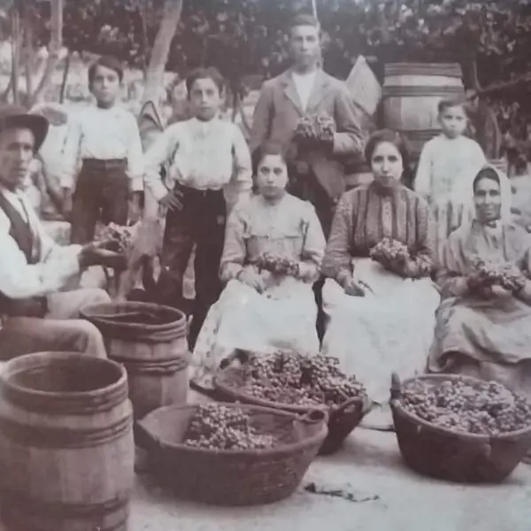Mujeres limpiando las uvas