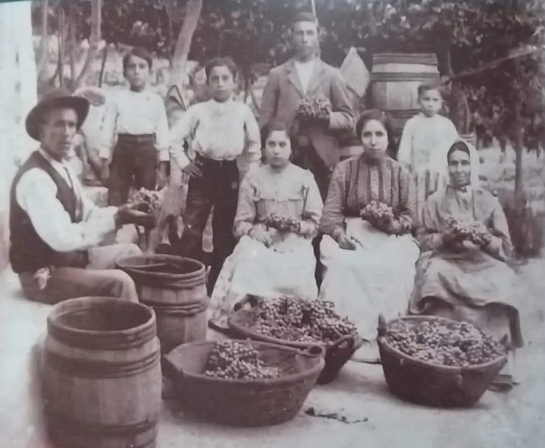 Mujeres limpiando las uvas