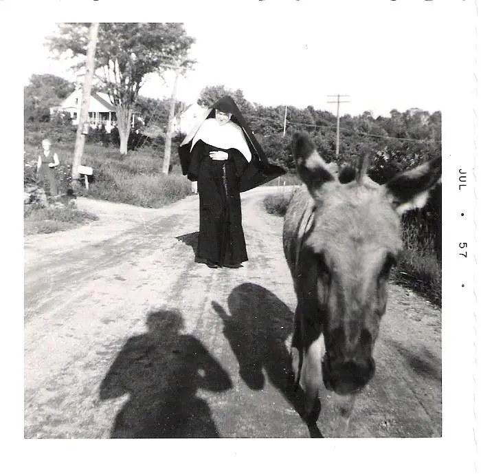A Nun and a Donkey