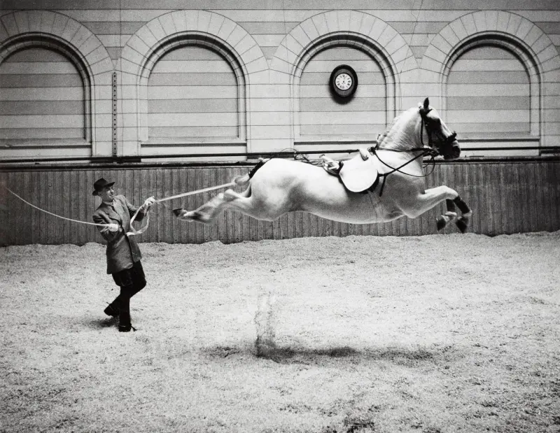 Spanish Riding School in Vienna