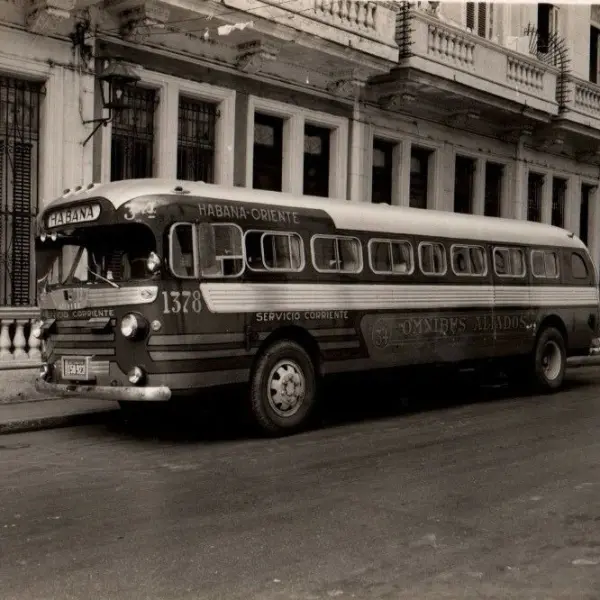 Omnibus Aliados