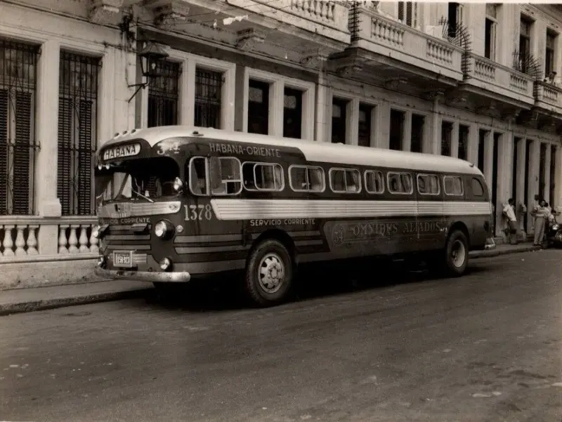 Omnibus Aliados