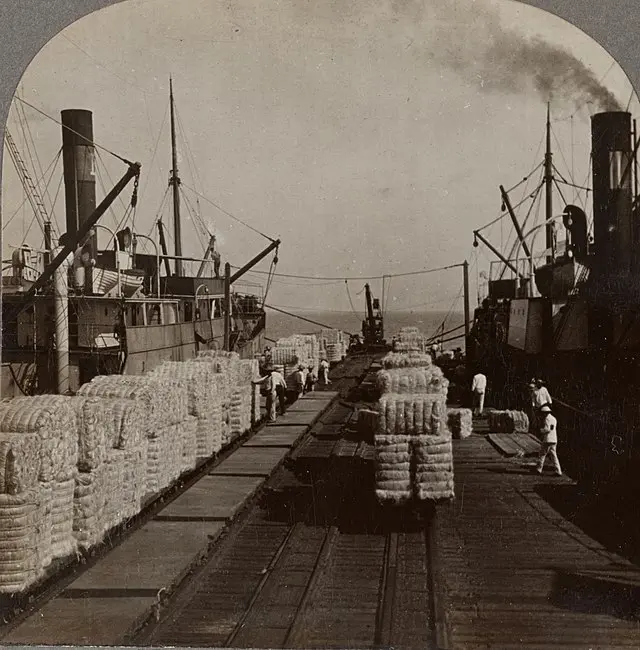 El viaje del oro verde: Progreso exporta al mundo, 1909