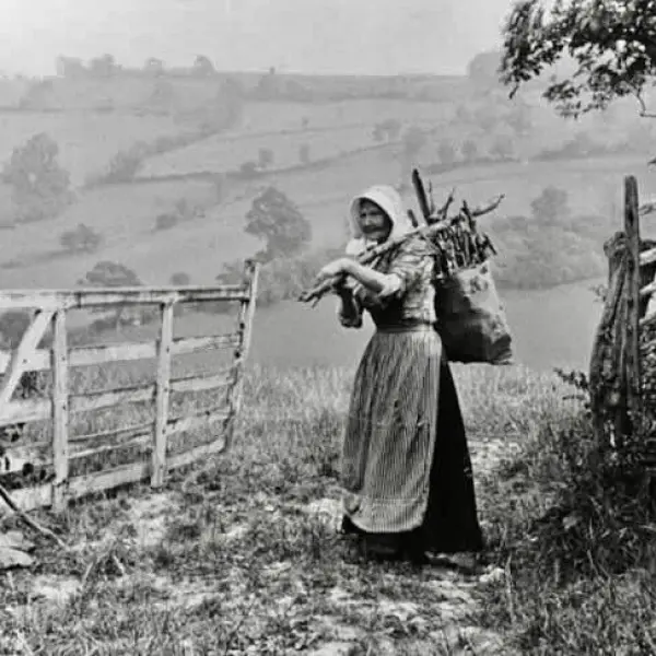Countrywoman gathering firewood