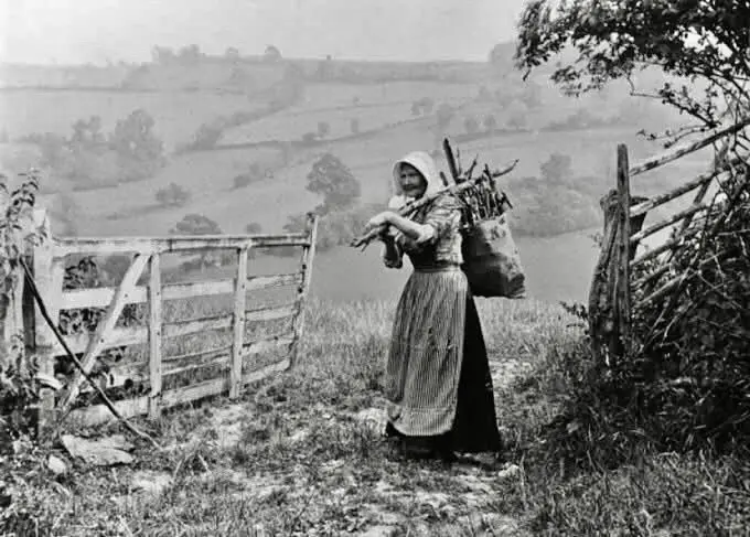 Countrywoman gathering firewood