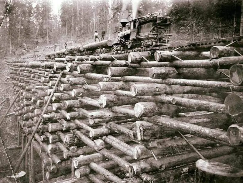 Stacked Log Railroad Bridge