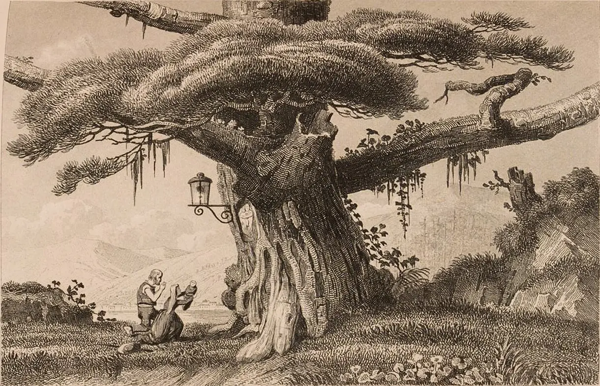 Pino de La Virgen - litografía