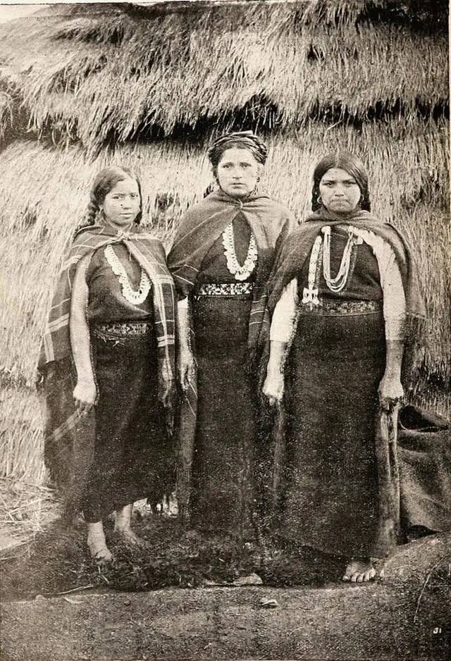 Mujeres mapuche frente al tiempo: retrato en la Araucanía hacia 1906