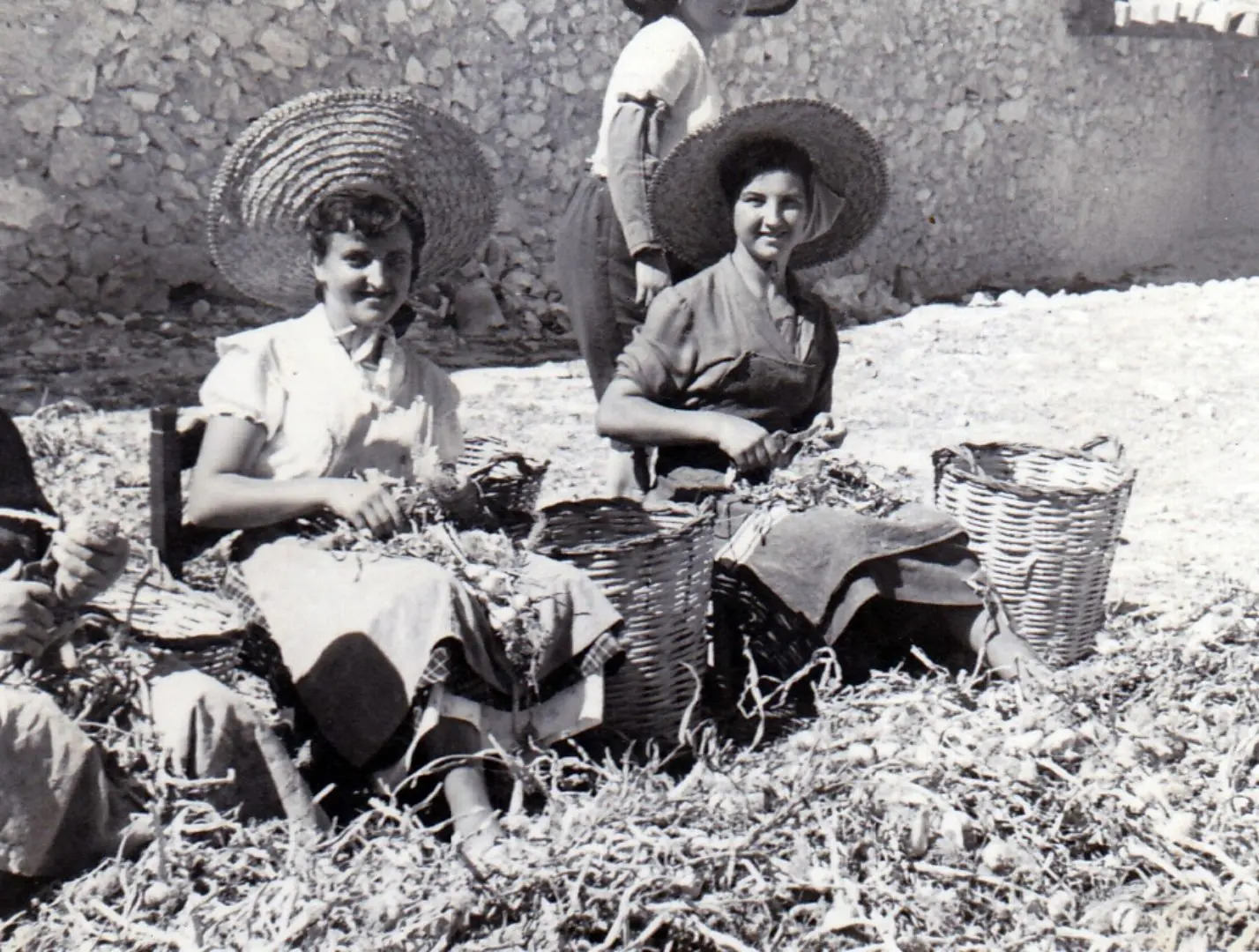 Mujeres trabajando 