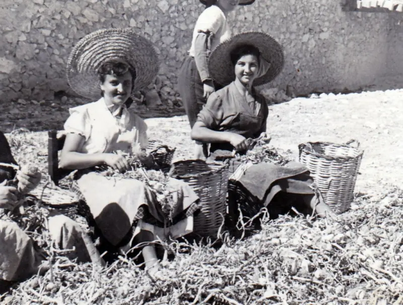 Mujeres trabajando 