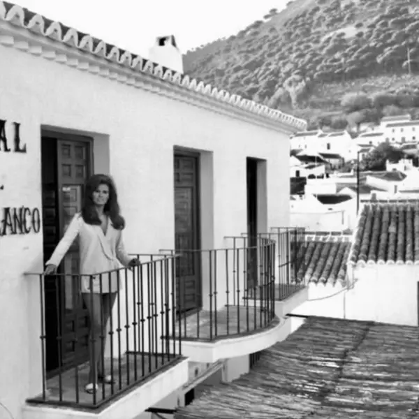 Hostal del Mirlo Blanco