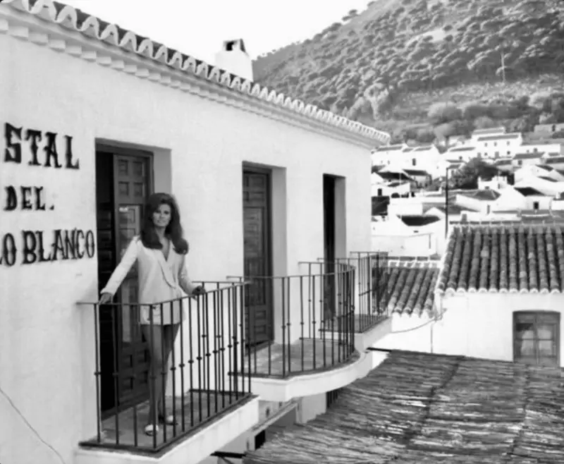 Hostal del Mirlo Blanco