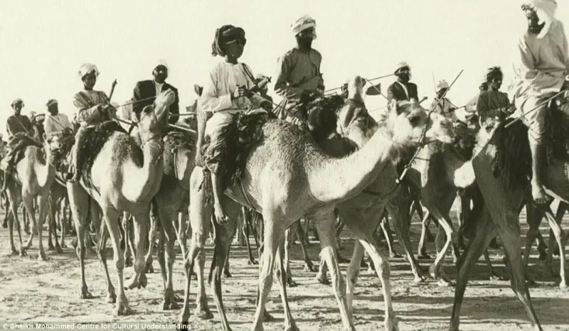 CAMEL CARAVAN