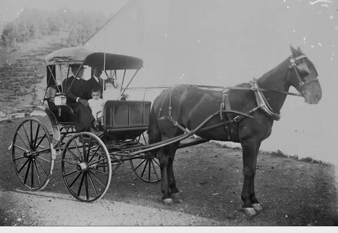 Carroza en Fuencaliente.