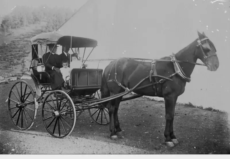 Carroza en Fuencaliente.