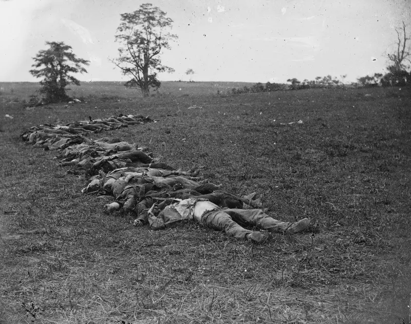 Confederate dead at Antietam