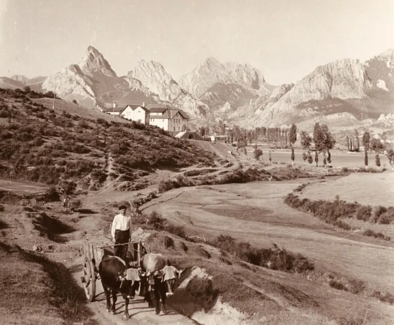 Hombre con carro tirado por bueyes