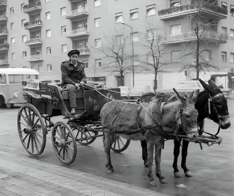 Coche tirado por burros 