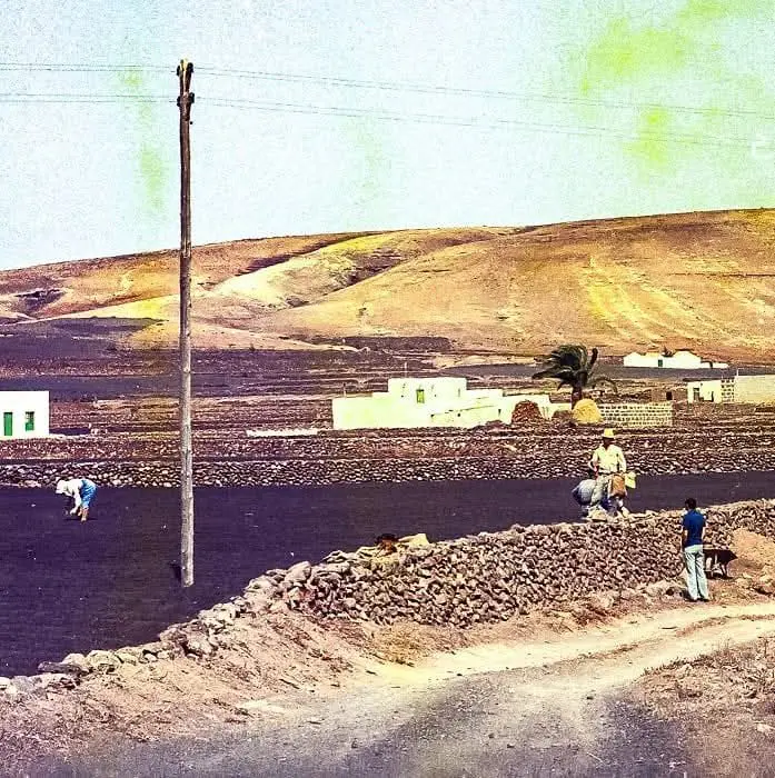 El Cineasta Pedro Siemens