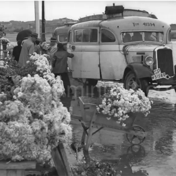 Camioneta con destino al cementerio