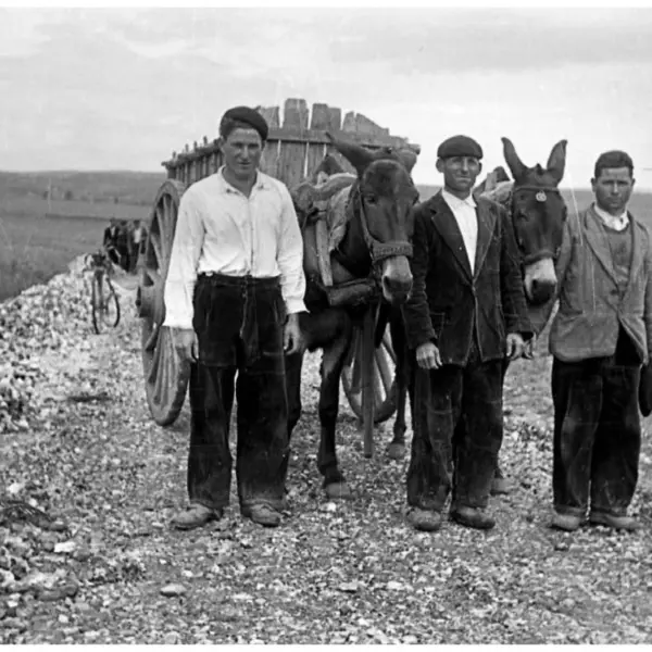 Trabajando en la carretera.