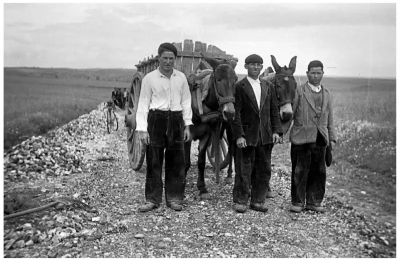 Trabajando en la carretera.