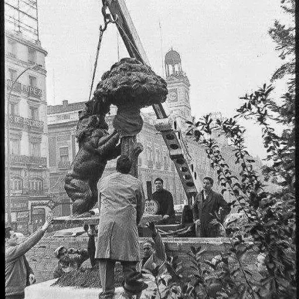 Colocando el Oso y el Madroño