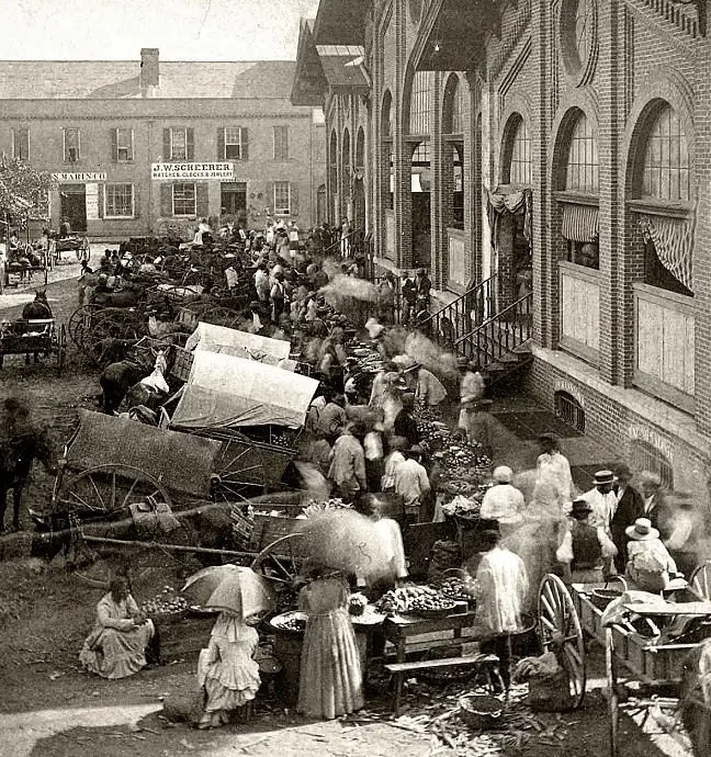 Savannah Market