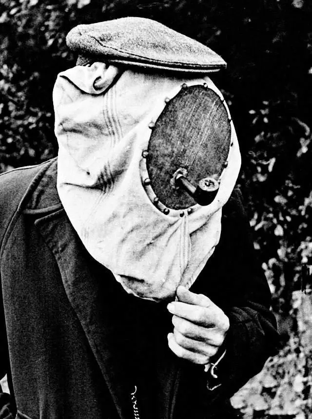 Dutch Beekeeper Wearing Protective Mask