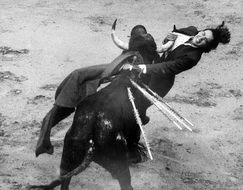 Bull Injuring Female Matador