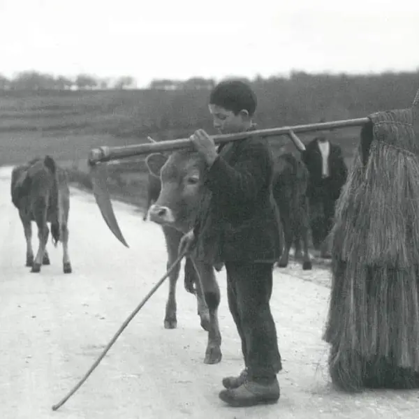 Creciendo en las aldeas gallegas.