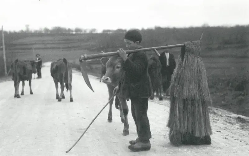 Creciendo en las aldeas gallegas.