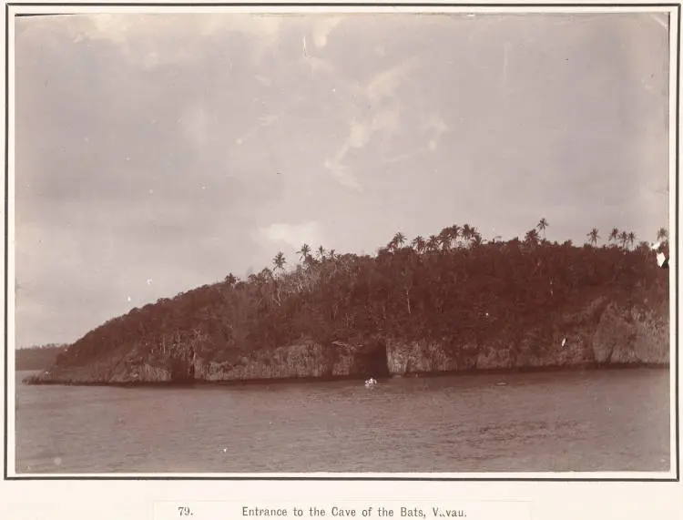 The Cave of the Bats