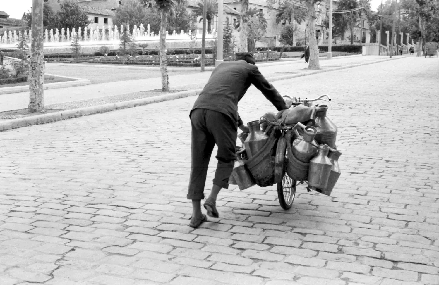 Lechero en Av. del Hospicio