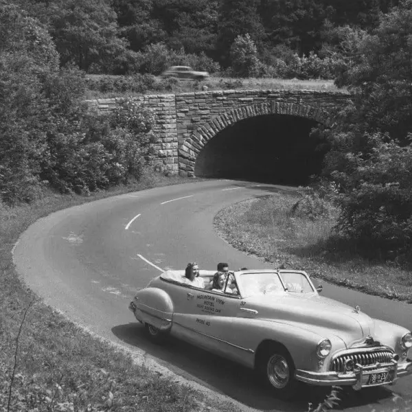 Newfound Gap Road