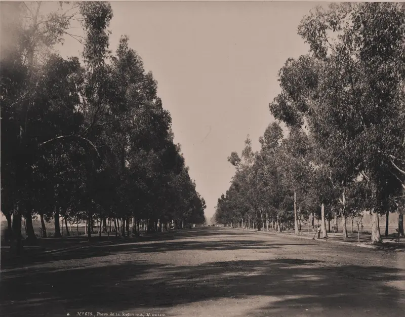 Paseo de la Emperatriz