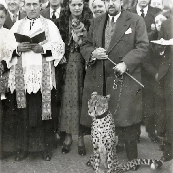 El guepardo de Faquir Aris